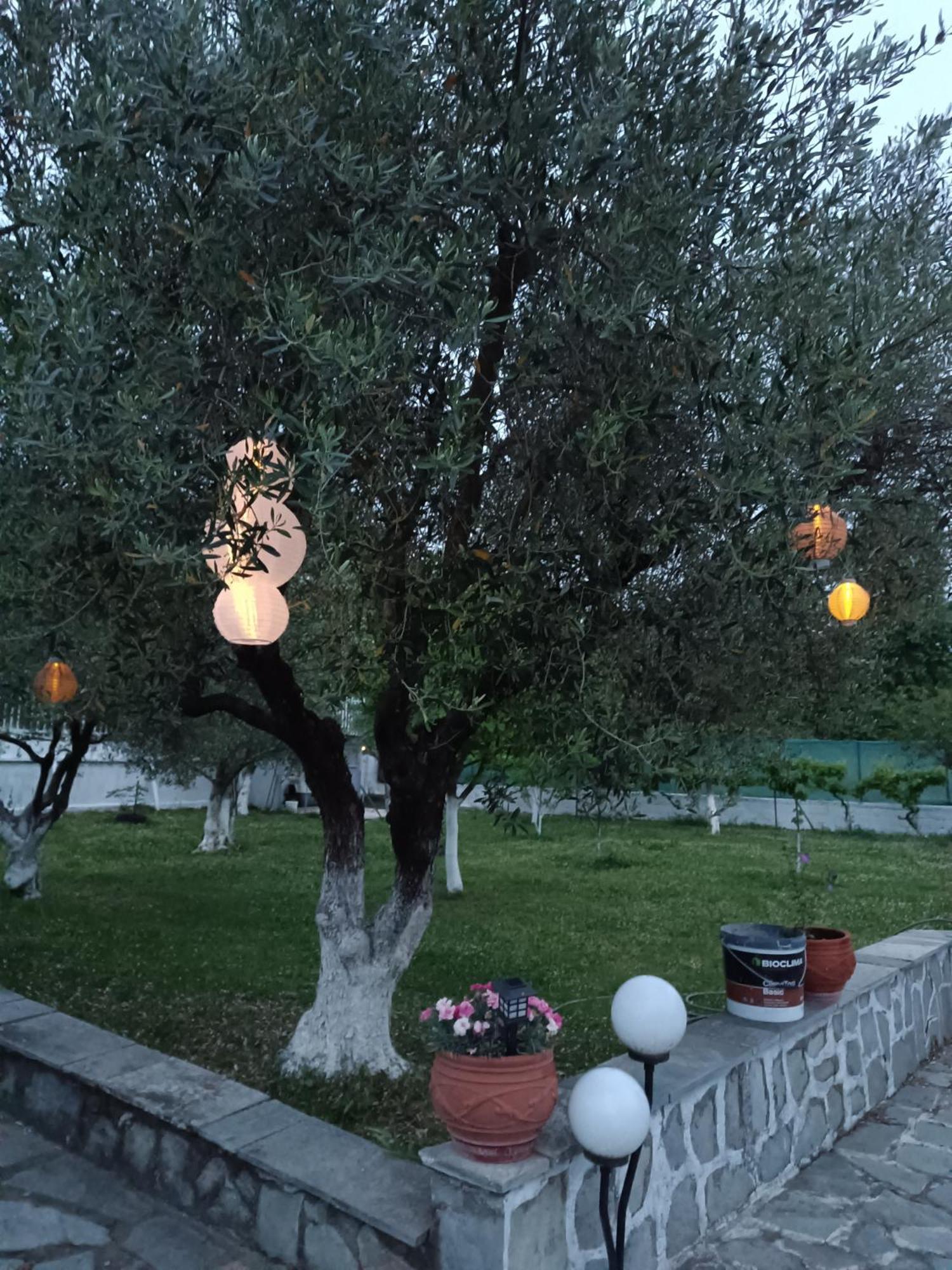 Pomegranate Tree House - Meteora ξενώνας Καλαμπάκα Εξωτερικό φωτογραφία