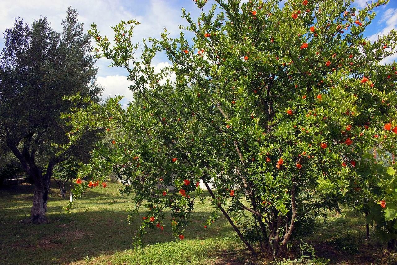 Pomegranate Tree House - Meteora ξενώνας Καλαμπάκα Εξωτερικό φωτογραφία
