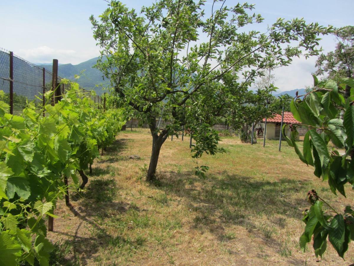 Pomegranate Tree House - Meteora ξενώνας Καλαμπάκα Εξωτερικό φωτογραφία